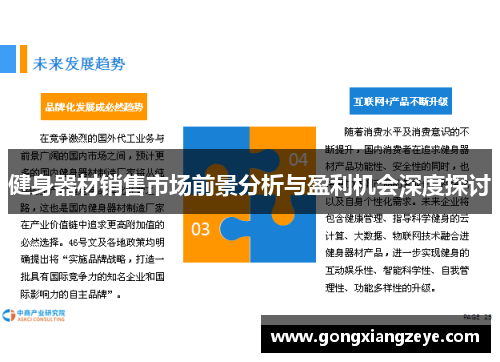 健身器材销售市场前景分析与盈利机会深度探讨