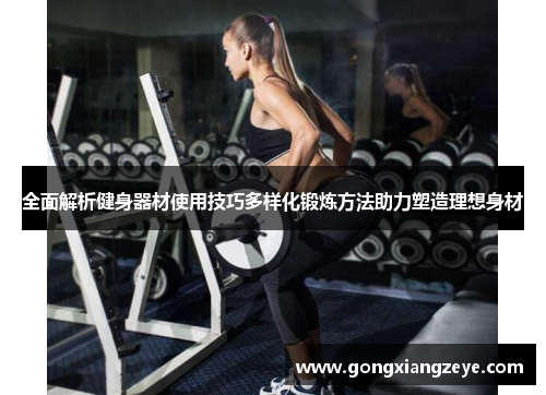 全面解析健身器材使用技巧多样化锻炼方法助力塑造理想身材